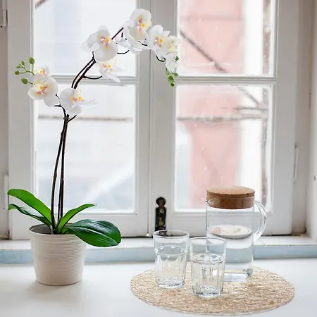 Apartment Bairro Alto Lusitania Dream